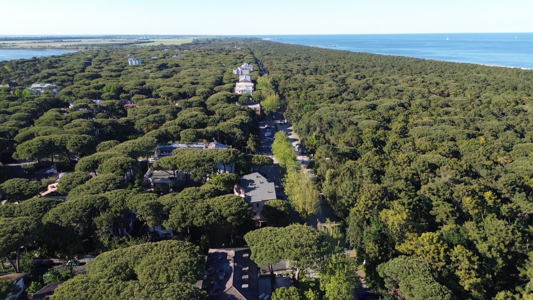 Vista aerea della pineta e del mare a Marina Romea
